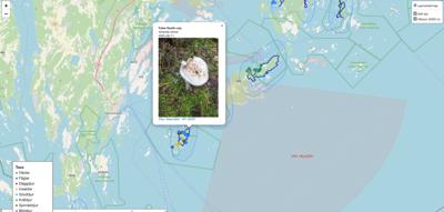 🐾 SAT – iNaturalist