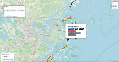 ♿ Funktionstillgänglighet – rullstol